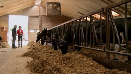 Presentatie van de nieuwe omgevingswet